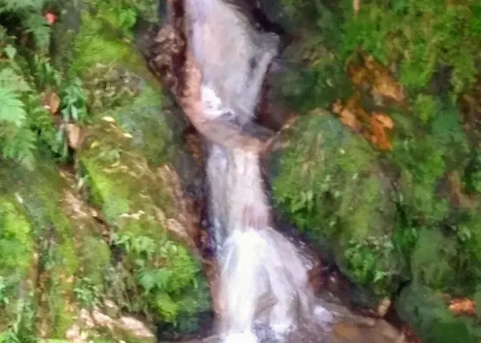 Διαμέρισμα Character 2br Upper Retreat With Bbq Terrace Parking