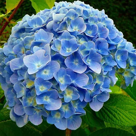 アパート Character 2br Upper Retreat With Bbq Terrace Parking *